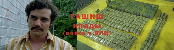 индика Сатка