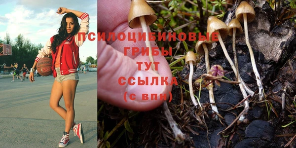 эйфоретик Алексеевка