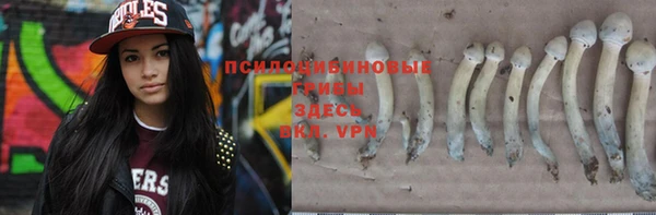 эйфоретик Алексеевка