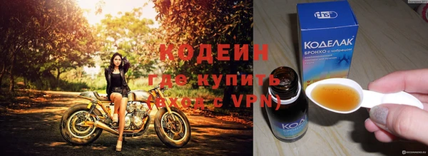 СК Гвардейск
